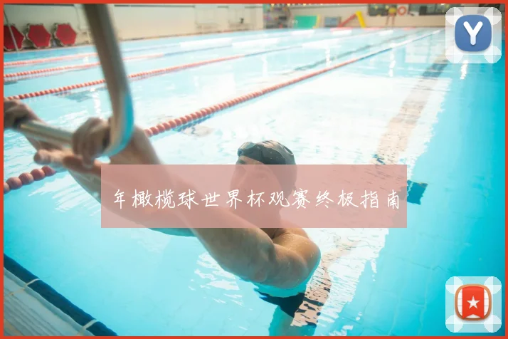 年橄榄球世界杯观赛终极指南
