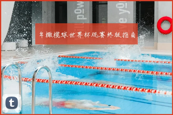年橄榄球世界杯观赛终极指南