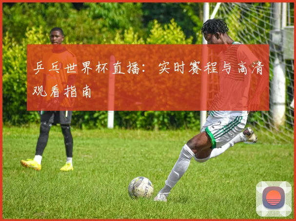 乒乓世界杯直播：实时赛程与高清观看指南